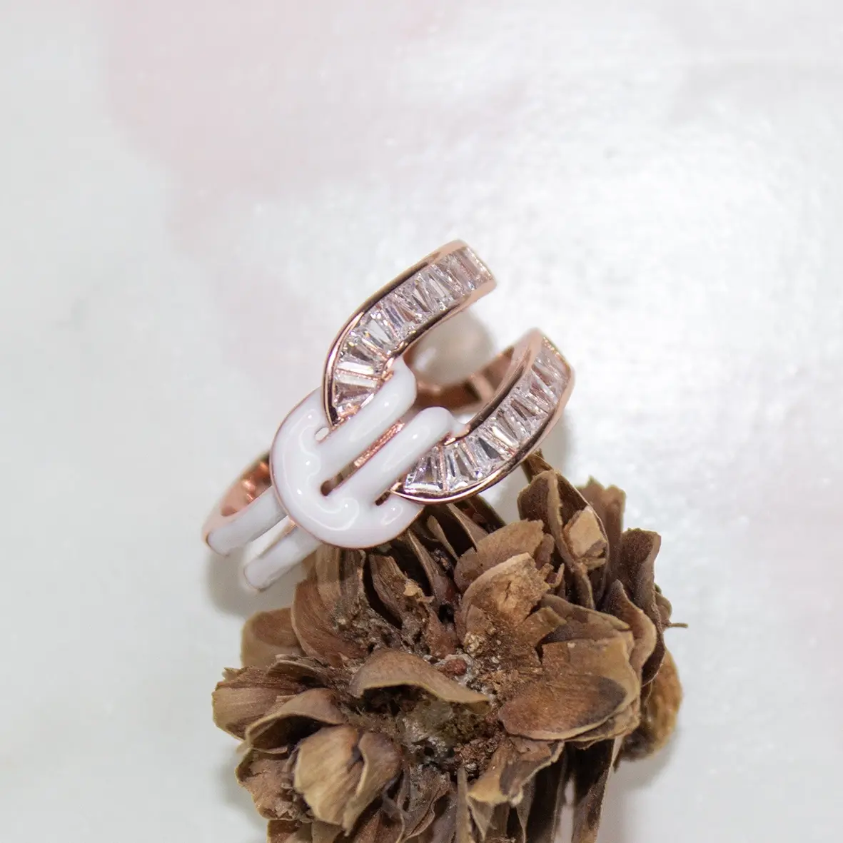 A2RR0003-Rose-with-BG